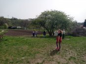 Img-20240414-wa0004