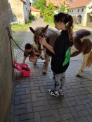 Img-20240628-wa0013