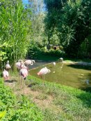 Img-20240628-wa0044