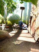 Img-20240628-wa0052
