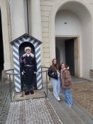 Img-20241217-wa0007
