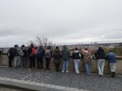 Img-20241217-wa0016