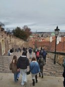 Img-20241217-wa0020