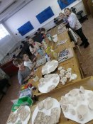 Img-20250220-wa0001