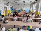 Img-20250423-wa0025