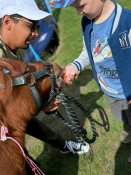 Img-20250602-wa0183