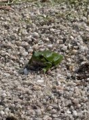 Img-20250623-wa0148