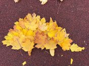 Img-20251015-wa0005 Img-20251015-wa0005