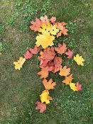 Img-20251015-wa0006 Img-20251015-wa0006