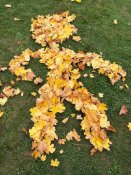 Img-20251015-wa0007 Img-20251015-wa0007