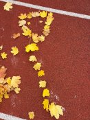 Img-20251015-wa0008 Img-20251015-wa0008