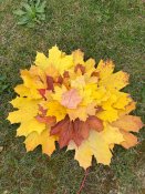 Img-20251015-wa0009 Img-20251015-wa0009