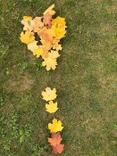 Img-20251015-wa0010 Img-20251015-wa0010