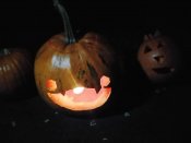 Img-20251027-wa0462_2