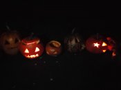 Img-20251027-wa0463_2