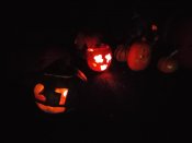 Img-20251027-wa0493_2