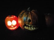 Img-20251027-wa0494_2