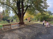Img_0043