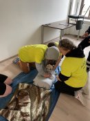 Img_7122_2