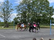 Img_7451
