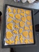 Obrazek-whatsapp-2025-11-05-v-14-53-49_f673d35a