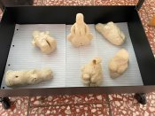 Whatsapp-image-2025-11-11-at-12-22-46 Whatsapp-image-2025-11-11-at-12-22-46