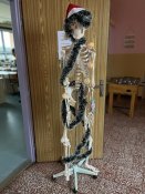 Whatsapp-image-2025-12-19-at-13-54-39-5