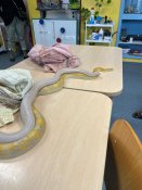 Whatsapp-image-2026-02-27-at-14-09-23-1