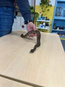 Whatsapp-image-2026-02-27-at-14-09-24-1