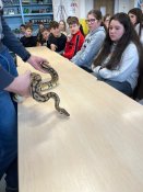 Whatsapp-image-2026-02-27-at-14-09-25