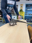 Whatsapp-image-2026-02-27-at-14-09-26-3