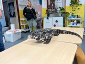 Whatsapp-image-2026-02-27-at-14-09-27-1