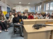 Whatsapp-image-2026-02-27-at-14-09-27-3