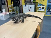 Whatsapp-image-2026-02-27-at-14-09-27