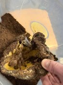 Whatsapp-image-2026-02-27-at-14-09-28-1