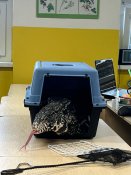 Whatsapp-image-2026-02-27-at-14-09-28-2