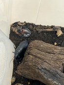 Whatsapp-image-2026-02-27-at-14-09-28-3