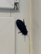 Whatsapp-image-2026-02-27-at-14-09-29