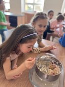 Whatsapp-image-2026-03-06-at-13-50-35-7