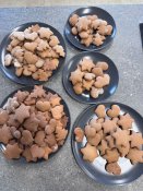 Whatsapp-image-2026-03-11-at-16-55-08