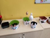 Whatsapp-image-2026-04-10-at-09-08-44